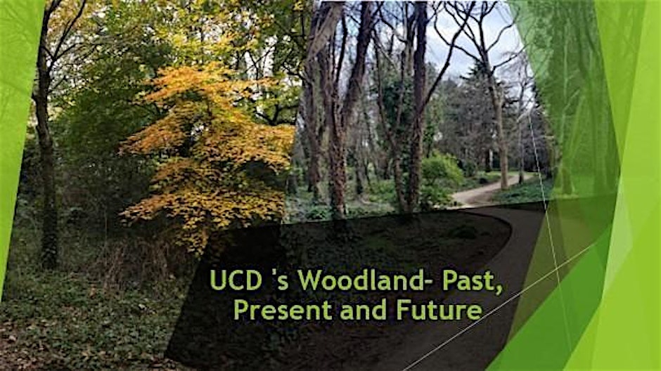 UCD \'s Woodland- Past, Present and Future\n(12:00 - 13:00) - Ciaran Beattie from UCD Estate Services